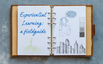Field Guide: Challenges and Best Practices in Experiential Learning Projects