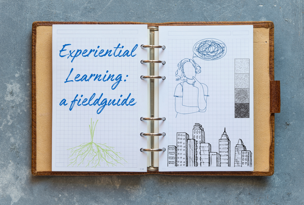 Field Guide: Challenges and Best Practices in Experiential Learning Projects