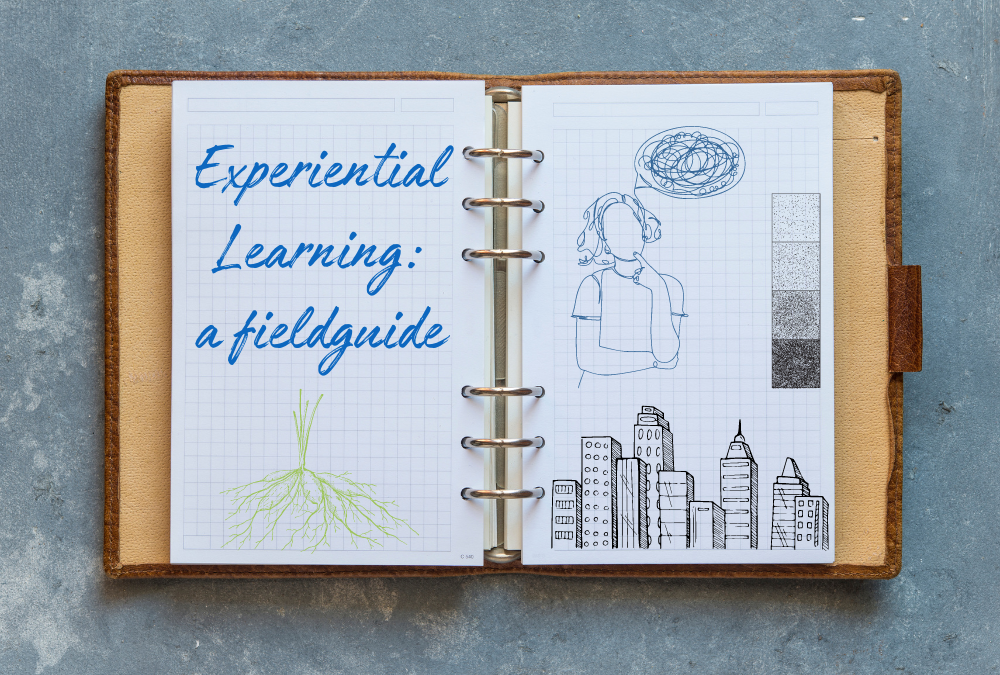 Common Challenges and Best Practices in Experiential Learning Projects Field Guide