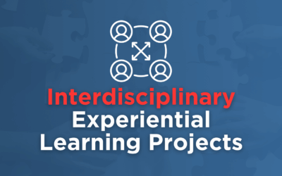 Interdisciplinary Projects